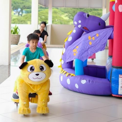 Animal Rides for Kids Parties in Singapore